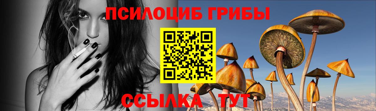 наркотики  Псилоцибиновые грибы Psilocybine cubensis  Назарово  Вход с VPN  Галлюциногенные грибы прущие грибы 